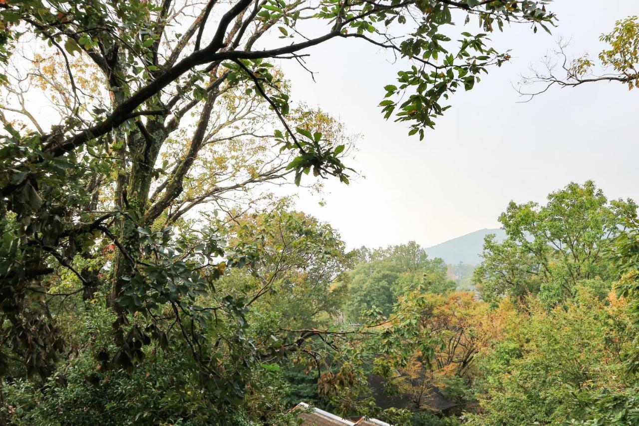 Rinkangekijo 伊東市 エクステリア 写真