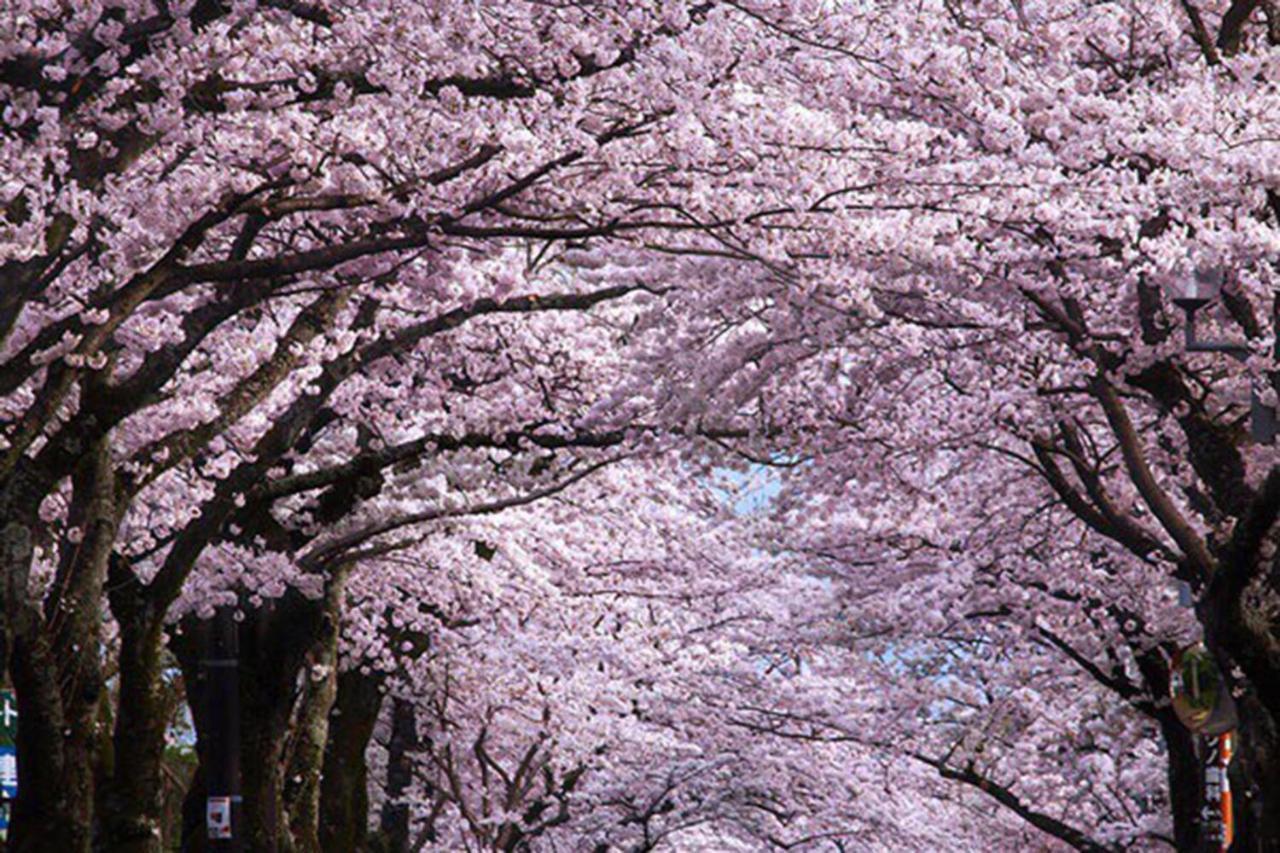 Rinkangekijo 伊東市 エクステリア 写真
